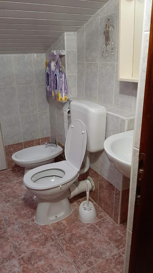 Apartments Alex ロヴィニ 部屋 写真